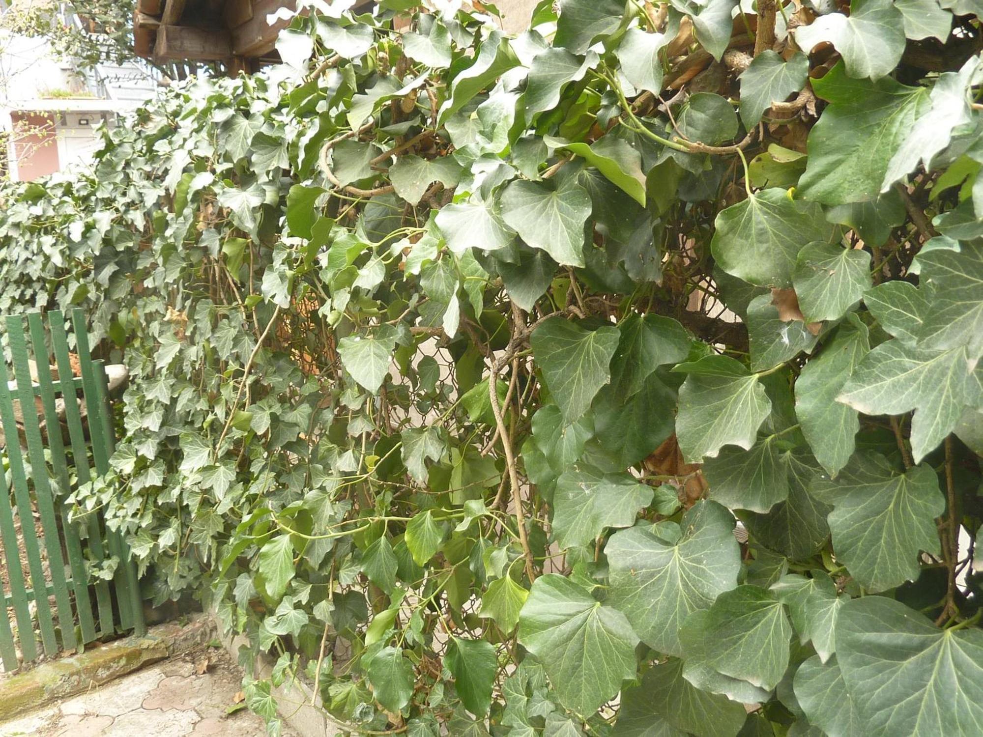 Hotel Gardens in Vake, Tbilisi Exterior foto